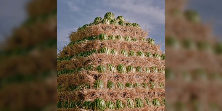 Russians are partying at underground festivals far from Moscow (PHOTOS, VIDEOS)