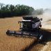 African state bars largest EU supplier from wheat tender – Reuters