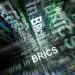 BRICS guarantees multipolar world – Russia’s top MP