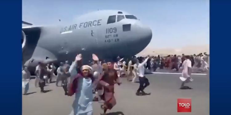 Neocons Imported The Afghan Man Who Plotted An Election Day Terror Attack