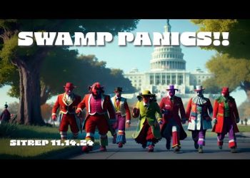 SWAMP PANICS!! SITREP 11.14.24