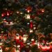 Mental disorder suspected in German Christmas market attack