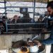 Israeli strike kills five journalists in Gaza – media (VIDEO)