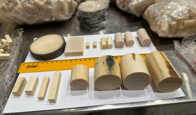 Attempted smuggling of ‘ice ivory’ foiled in Russia – officials (PHOTO)
