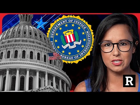 “The FBI had informants in the crowd and lied about it” FBI Whistleblower | Redacted w Natali Morris
