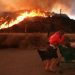 Tara Reade: These are the real heroes and villains of the California wildfires