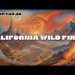 California Wild Fires – SITREP 1.09.25