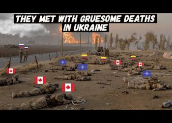 A Large Group of Canadian Commandos and Colombian Mercenaries Was Torn To Pieces Near PETROPAVLOVKA