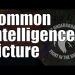 Introducing – Common Intelligence/Operating Picture