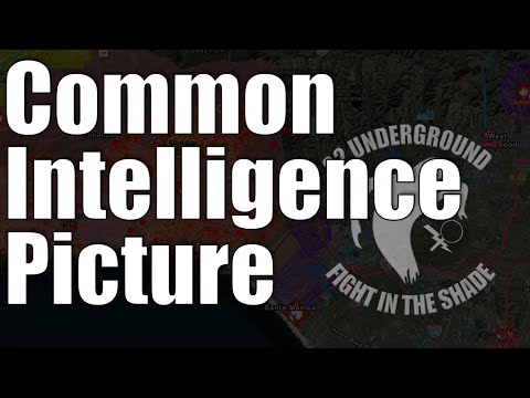 Introducing – Common Intelligence/Operating Picture