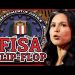 Former CIA Agent: “Tulsi Gabbard just Flip Flopped on Warrantless Spying of Americans” | Redacted