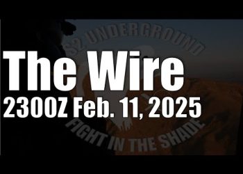 The Wire – February 11, 2025