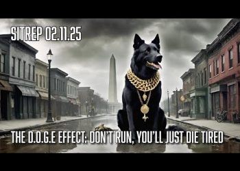 The D.O.G.E Effect: Don’t Run, You’ll Just Die Tired – SITREP 02.11.25