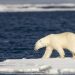 China backtracking on Arctic ambitions – SCMP