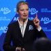 Germany’s AfD draws level with Merz’s conservatives – poll