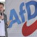 AfD tops German opinion poll for first time