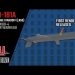 How AGM-181A Long-Range Standoff missile (LRSO) is set to enhance American nuclear deterrence ?