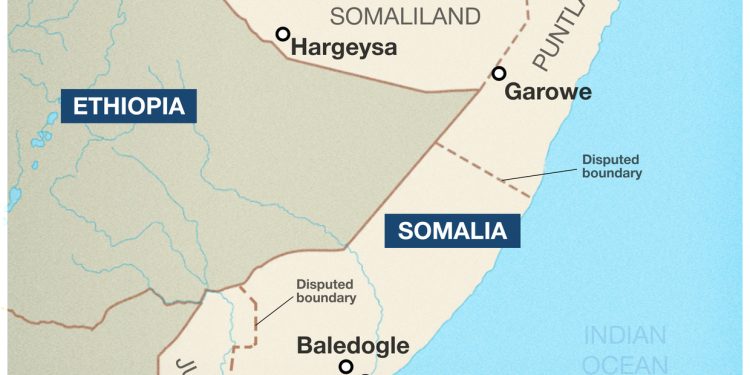 African state arrests dozens of suspected IS militants