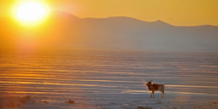 Meet fierce Northern warriors who fought Russia for a century and learned a valuable lesson