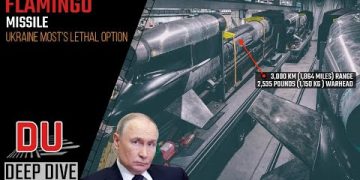 Why Ukraine’s new Flamingo missile is an alarming prospect for Russia ?