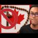 Canada is now an Anti-Christian Country? When did this happen? | Redacted w Clayton Morris