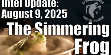 Intel Update – August 9 – The Simmering Frog