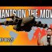 Giants on the Move – SITREP 08.12.25