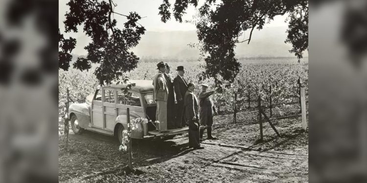 Meet The Russian refugee who turned America into a wine superpower