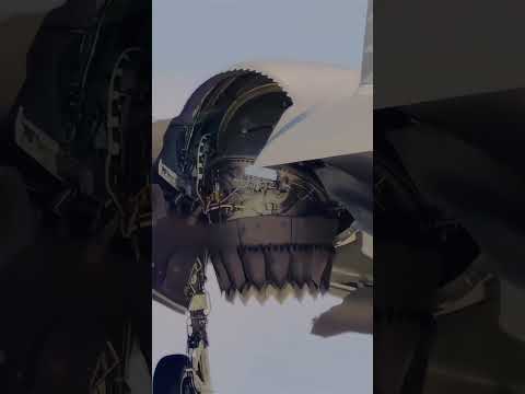 F 35B – Short Take-Off and Vertical Landing (STOVL) capabilities !
