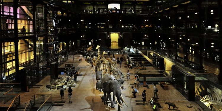 France charges Chinese national over €1.5 million gold theft