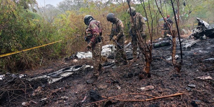 Dozen killed in tourist plane crash in Kenya (VIDEO/PHOTOS)