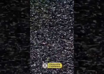 Ukrainian FPV drone destroy Russian Jamming Equipment !