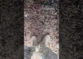 Reality of Ukraine War – Floor covered with shell casings !