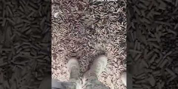 Reality of Ukraine War – Floor covered with shell casings !