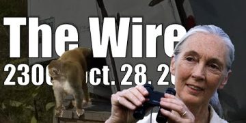 The Wire – October 28, 2025