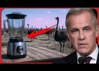 OUTRAGE in Canada: CFIA Accused of Grinding Up Ostriches Alive on Family Farm
