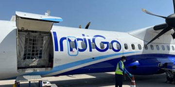 ‘Lucifer’ bee with devil-like horns discovered in Australia 