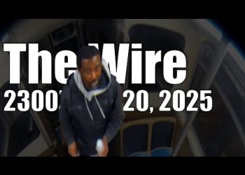 The Wire – November 20, 2025