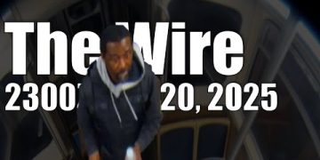 The Wire – November 20, 2025