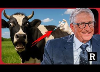 It’s starting! Bill Gates announces plans to vaccinate your meat | Redacted News