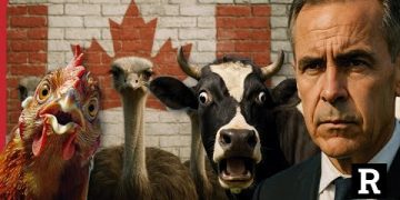 Canadians have had ENOUGH