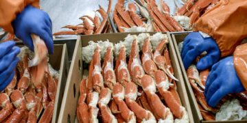 Russian seafood still sold in EU despite fishy sanctions – Euractiv