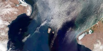 Russia would be ‘best’ ally for US – Tucker Carlson