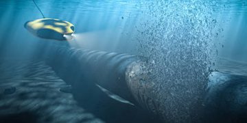 Gaza, Nord Stream and Kiev’s golden toilets: Top stories of 2025 the West wants you to forget