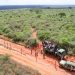 World’s largest rhino sanctuary opens (PHOTO/VIDEO)