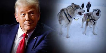 US lawmakers move to block Trump from invading Greenland