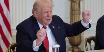 Denmark not invited to Trump ‘peace board’ – Politico