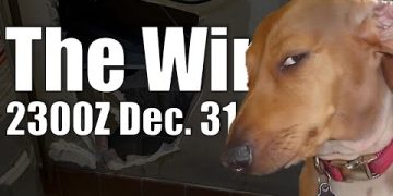 The Wire – December 31, 2025