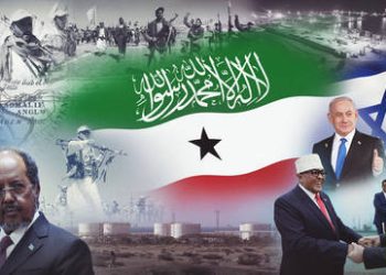 Erdogan weighs in on Israel’s recognition of Somaliland