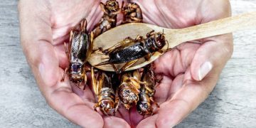 Spain accuses Italy and Germany of ‘undermining EU solidarity’ – media